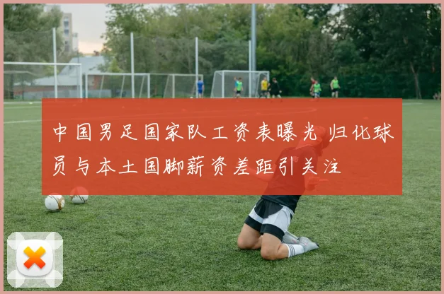 中国男足国家队工资表曝光 归化球员与本土国脚薪资差距引关注