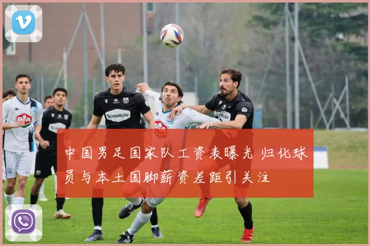 中国男足国家队工资表曝光 归化球员与本土国脚薪资差距引关注