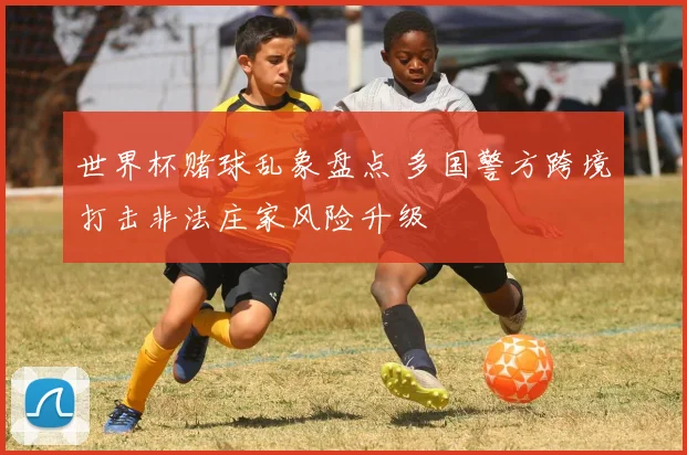 世界杯赌球乱象盘点 多国警方跨境打击非法庄家风险升级