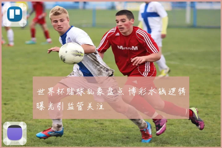 世界杯赌球乱象盘点 博彩水钱逻辑曝光引监管关注