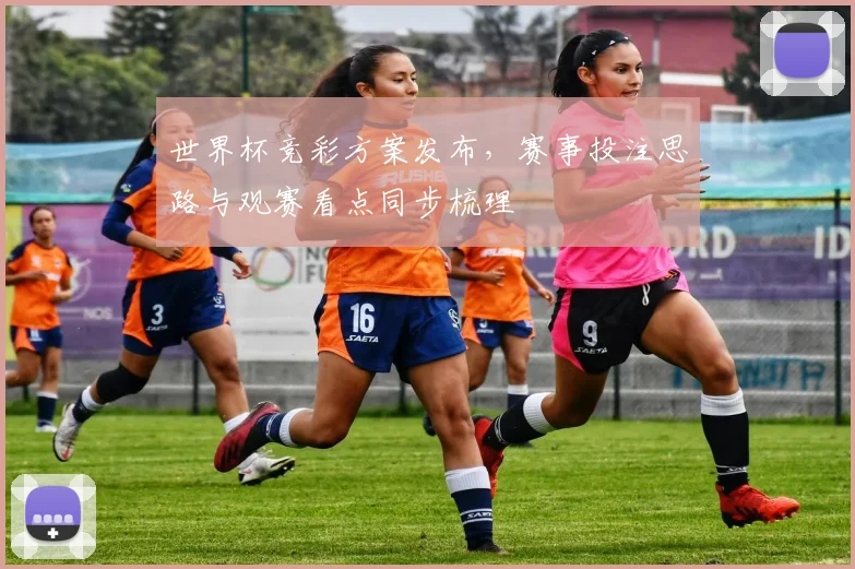 世界杯竞彩方案发布,赛事投注思路与观赛看点同步梳理