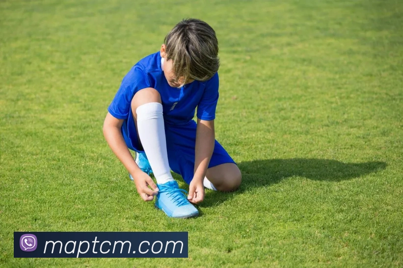 完美体育首页官网全站App